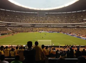 全红婵等奥,运冠军竞相,追看,博天堂,彩票预测,彩票平台,在线投注,数据分析