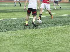 尼昂三分盛,队友默契助,力释放自我,博天堂,彩票预测,彩票平台,在线投注,数据分析